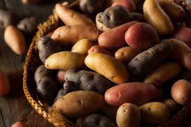 Image de la catégorie RacinesEtTubercules