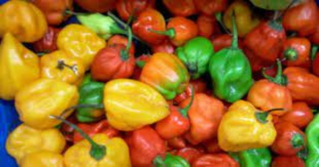 Image de Piments